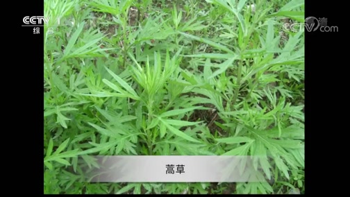 ʾ 20180912 ҲỨ