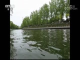 ʾ 20180410  