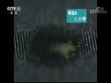 ʾ 20180425 ٸ