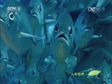 Ȼ 20150714 Ȼ֣