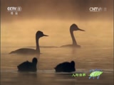 Ȼ 20150716 Ȼ֣