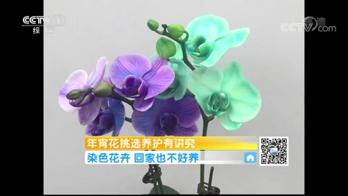 ʾ 20190127 ѡ