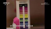 ʾ 20181024  