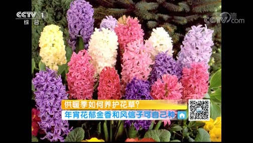 ʾ 20181207 ů