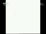 ʾ 20180525 ѡ 