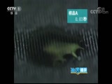 ʾ 20170908 ѡٸ