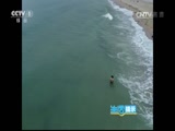 ʾ 20170801 󺣵