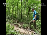 ʾ 20170825 ͽ