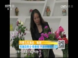 ʾ 20170527 ¼õ