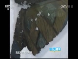<b>ʾ 20161229 г</b>