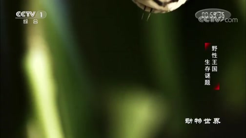  20190921 Ұ 