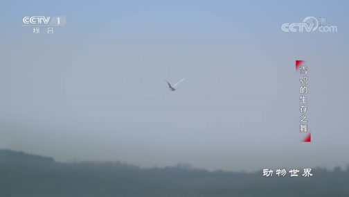  20190505 ѩ^