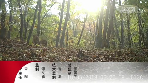  20190814 װı