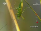  20180225 