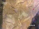  20180310 κ