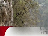  20180312 ĸĺǻ