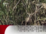  20180405 ص۾