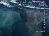 <b> 20180523 Ұ羺</b>