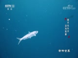  20171101 Ҳʧ