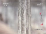 20171110 ⨺