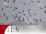  20171221 ʨ