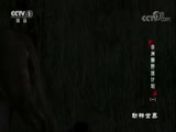  20171229 ʨҰ