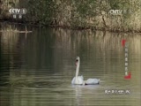  20170629 İ