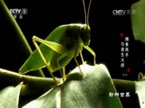  20170707 ʳ