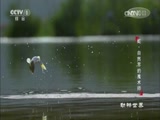  20170712 ߡȻ