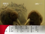  20170713 ʳ