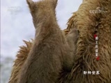 20170910 ʢ