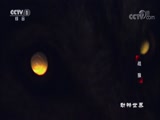  20171003 ս