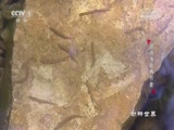  20171007 κ