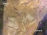  20171008 κ