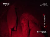 <b> 20171013 С</b>