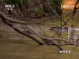  20170419 ְ