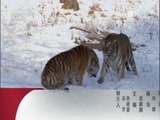  20170427 Ȧʨӷ