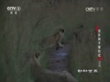  20170503 Ȧʨӷ