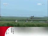  20170509 ж