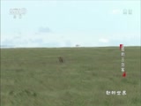  20170518 Ա