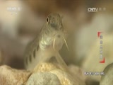 20170602 ܶԱ
