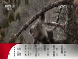  20170606 ʳ
