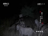  20170613 ʨӴ