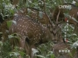 <b> 20160806 ۾ߵ</b>