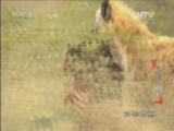  20160901 ȱַ