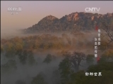  20161012 ĸ̸衤