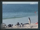  20160615 Ȼ֮