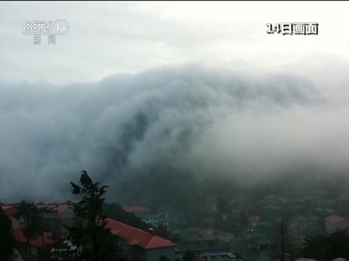 ֱ 20181116 13:00 