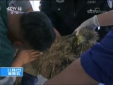 ֱ  20181102 14:00  