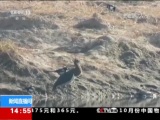 ֱ  20181103 14:00  